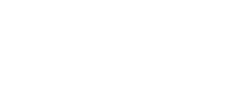 LEAD – Legal and Economic Advisors